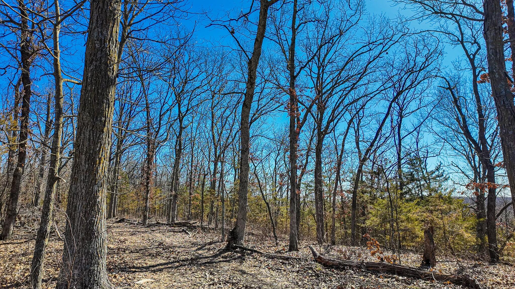000 Southeast Highway 54 Property Photo 7