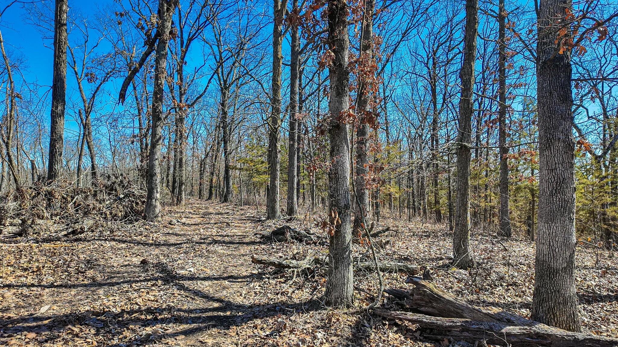 000 Southeast Highway 54 Property Photo 8