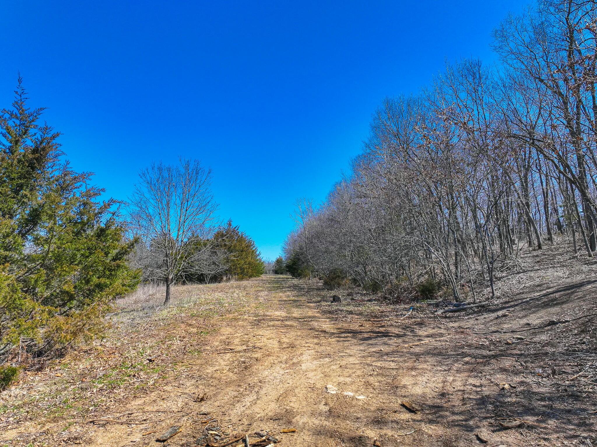 000 Southeast Highway 54 Property Photo 28