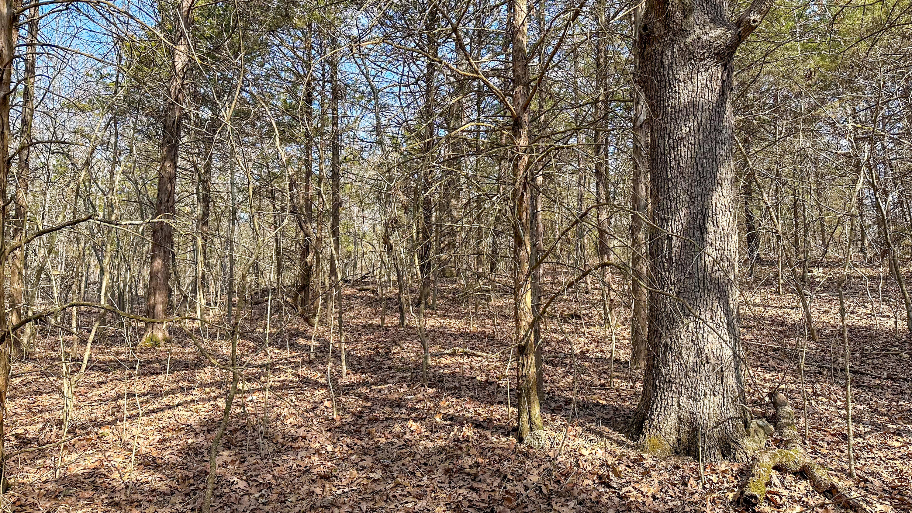 000 County Road 400-a #2 Property Photo 1