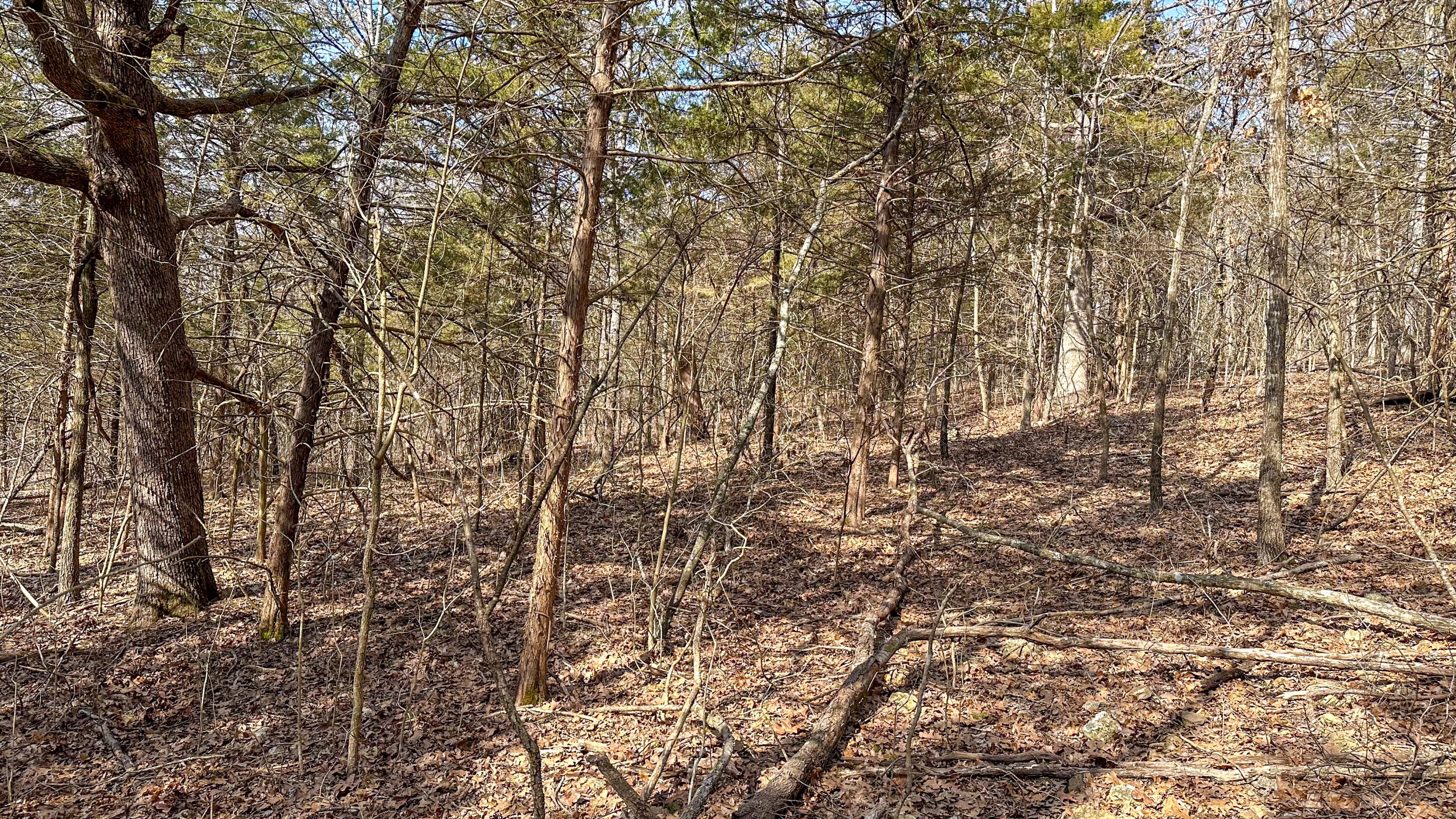 000 County Road 400-a #2 Property Photo 2
