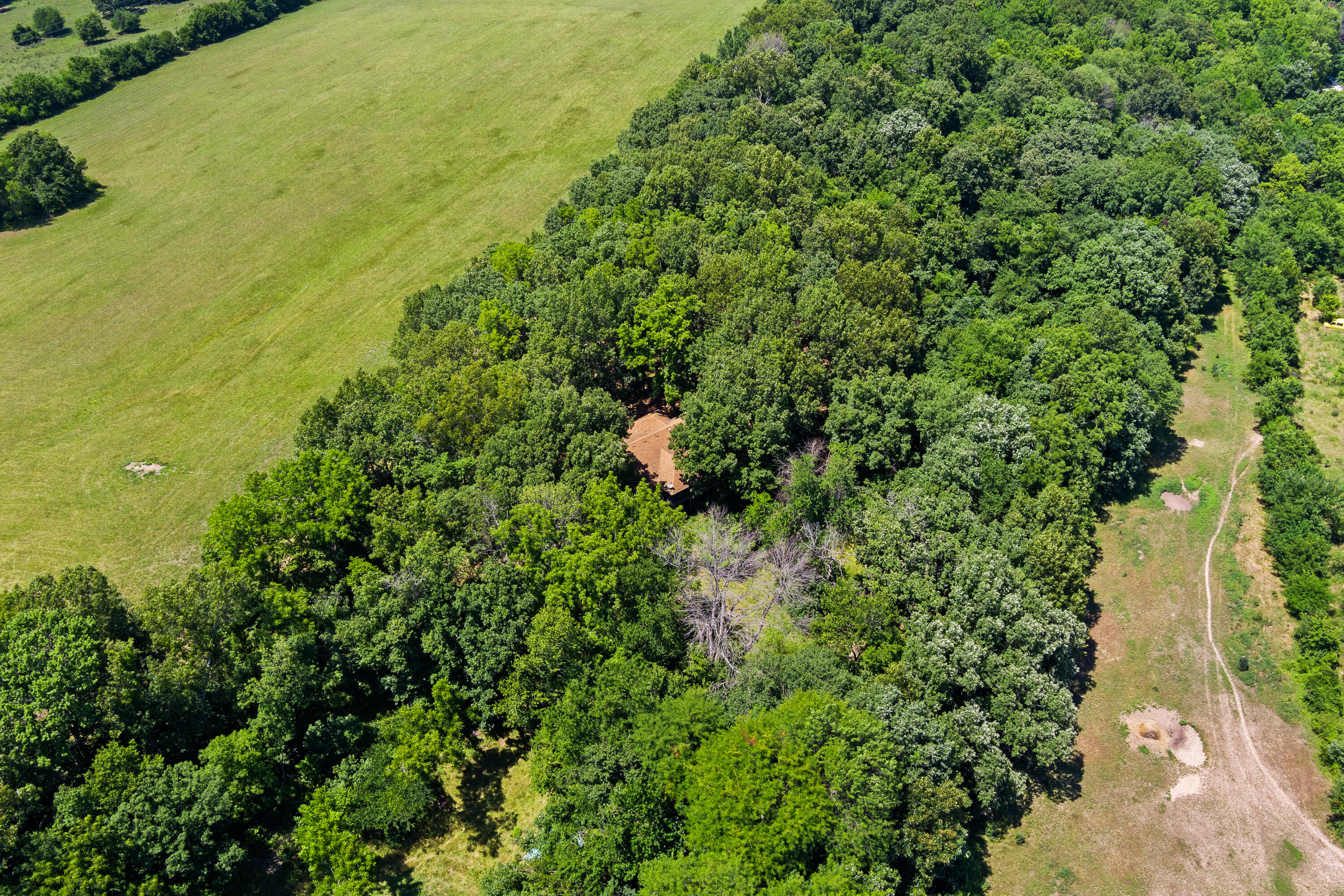 8756 West Farm Rd 124 Property Photo 58