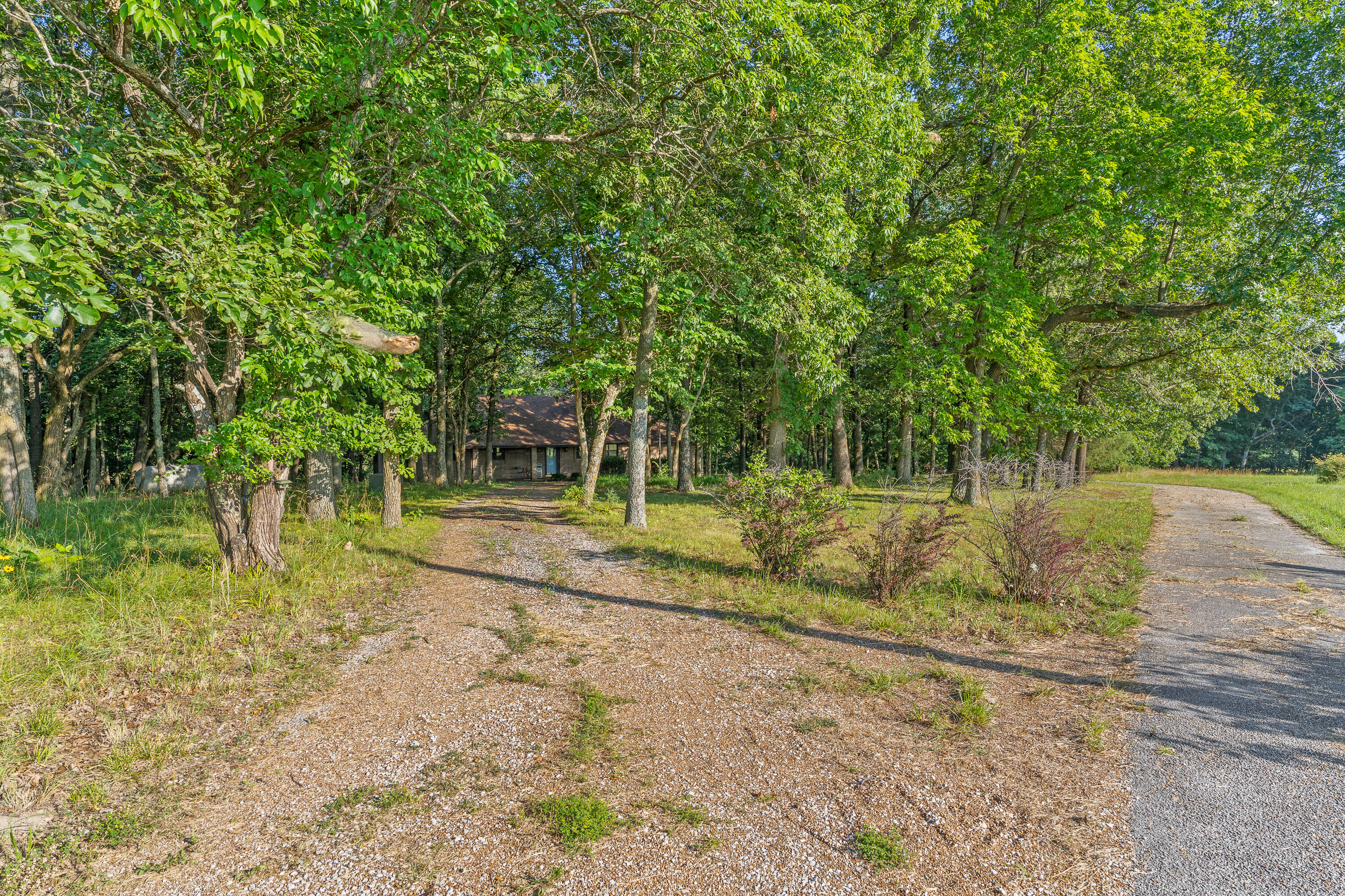 8756 West Farm Rd 124 Property Photo 59