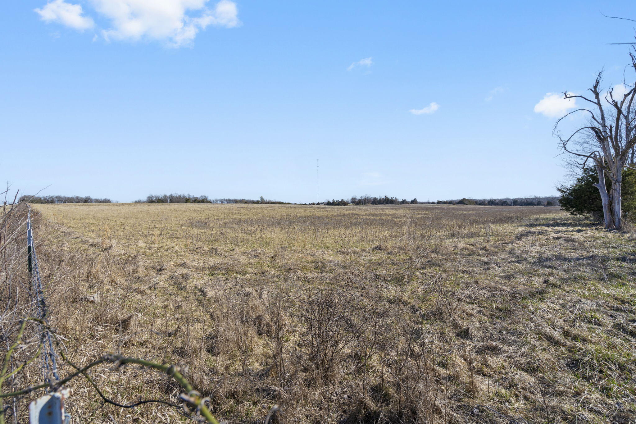 000 Country Trails Road Property Photo 6
