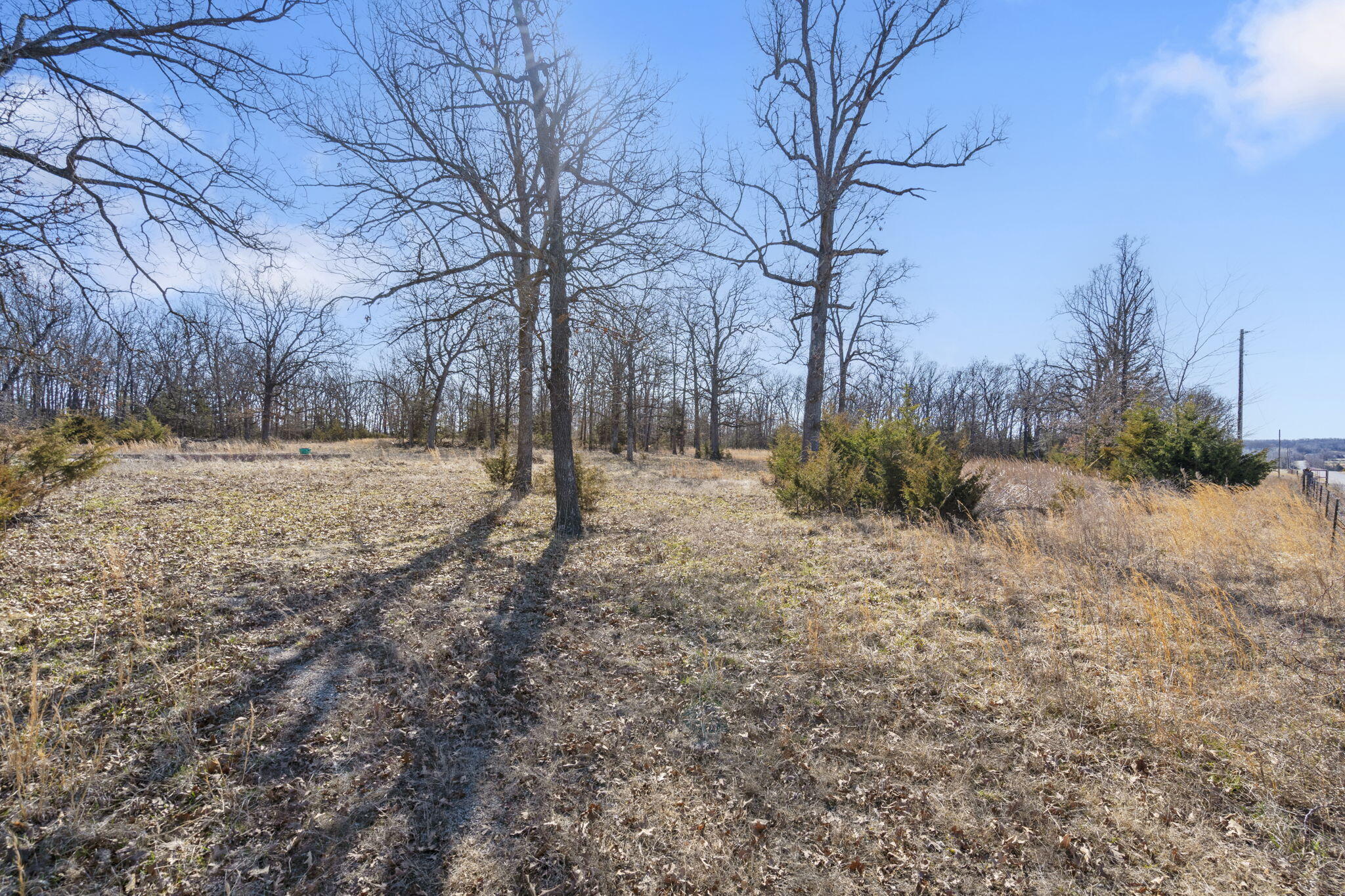 000 Country Trails Road Property Photo 10