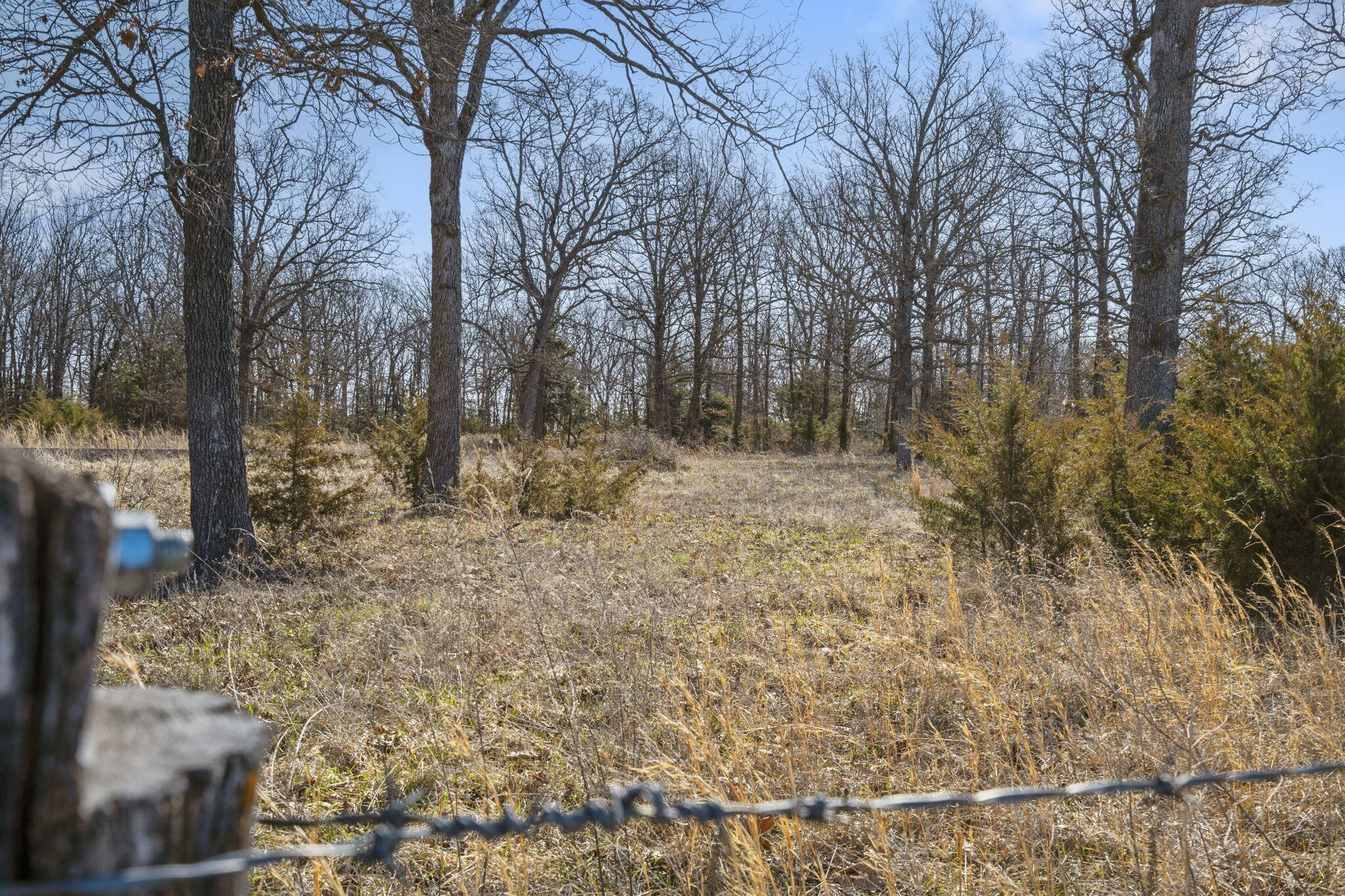 000 Country Trails Road Property Photo 11
