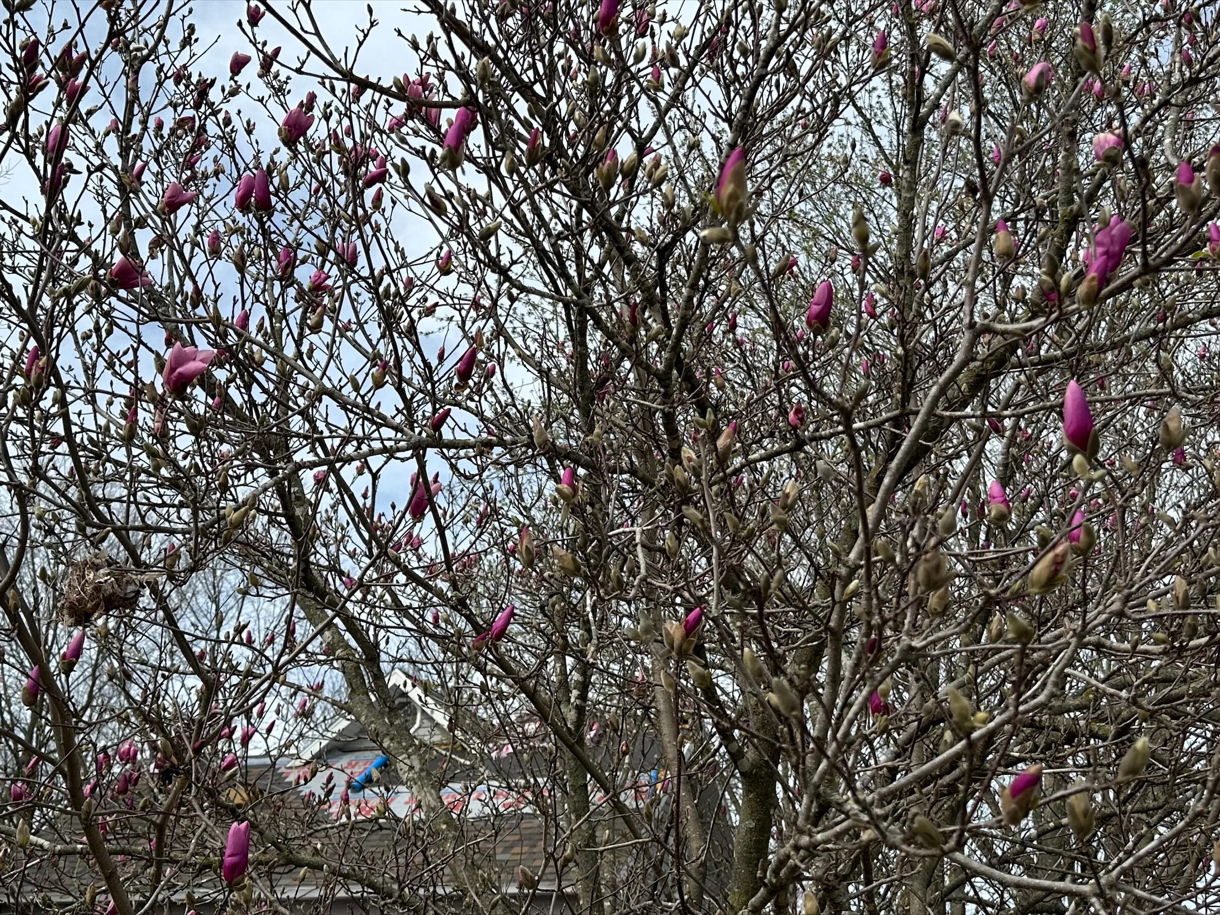 13461 Lawrence 1090 Property Photo 42