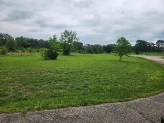 Lot 9 Country Music Ln Property Photo 5