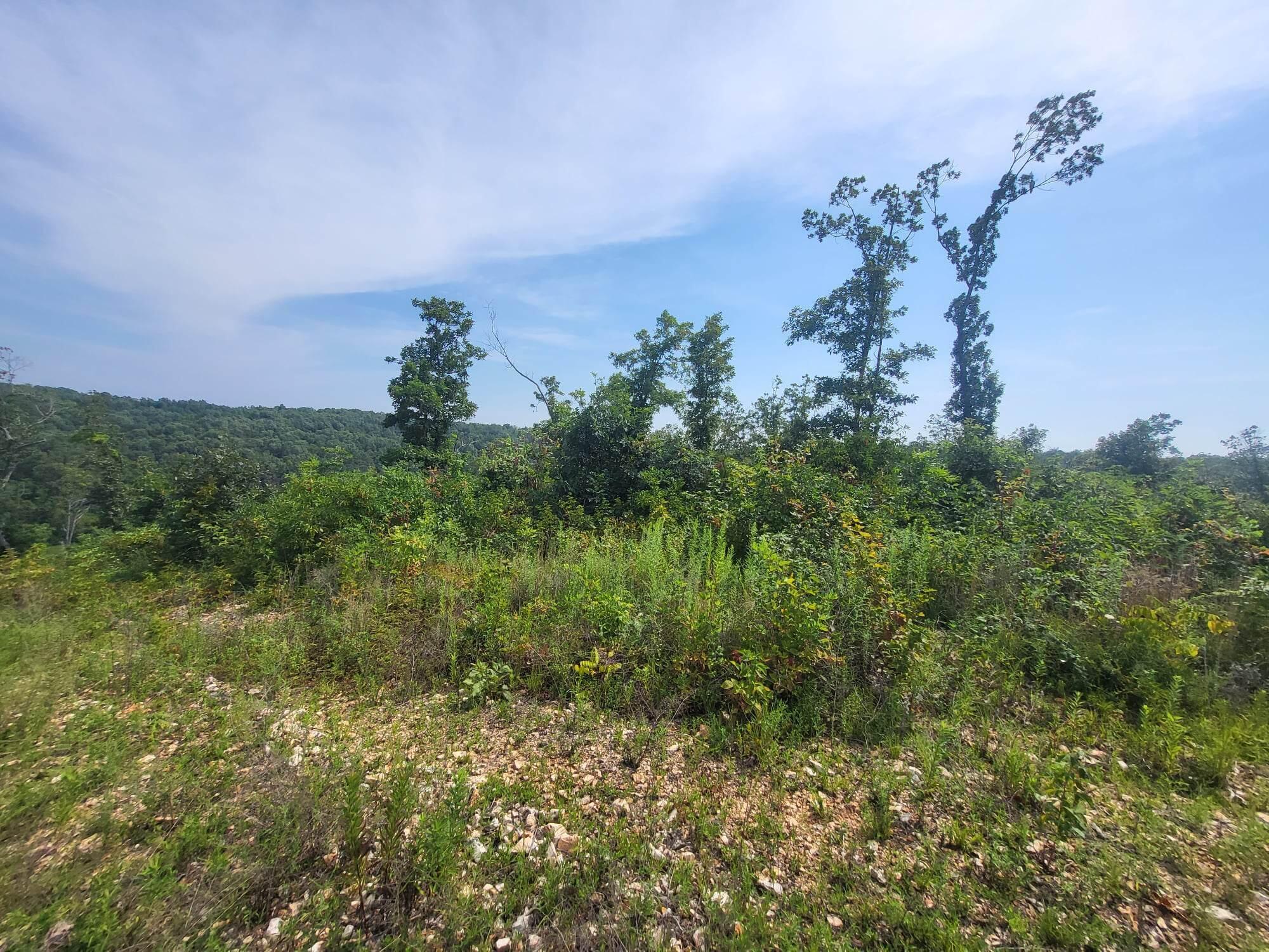 0 Tract # 60 Cedar Gap Hh Property Photo 3