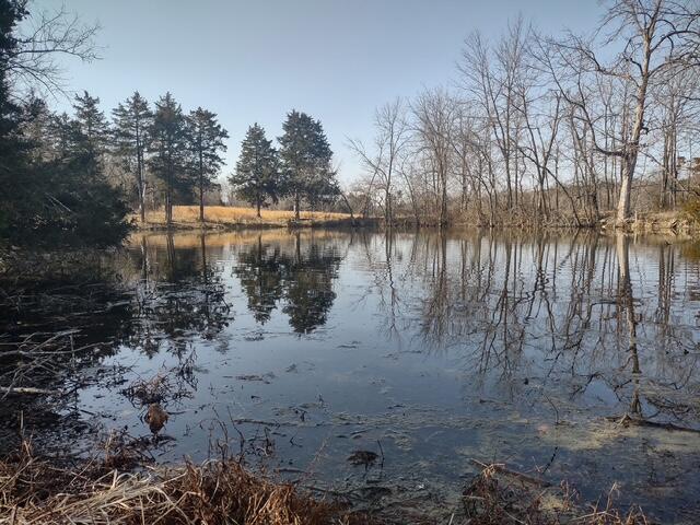 1571 St Luke Road Property Photo 15
