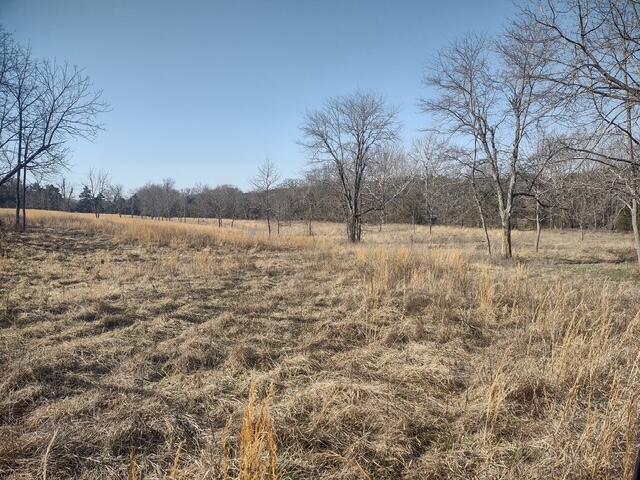 1571 St Luke Road Property Photo 16