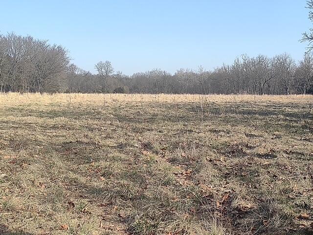 1571 St Luke Road Property Photo 17