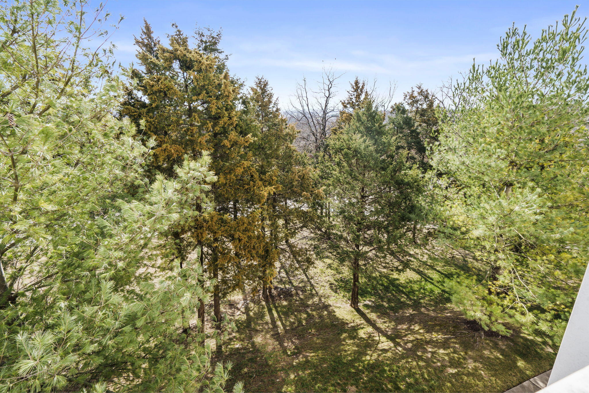 201 Prairie Dunes Drive Property Photo 36