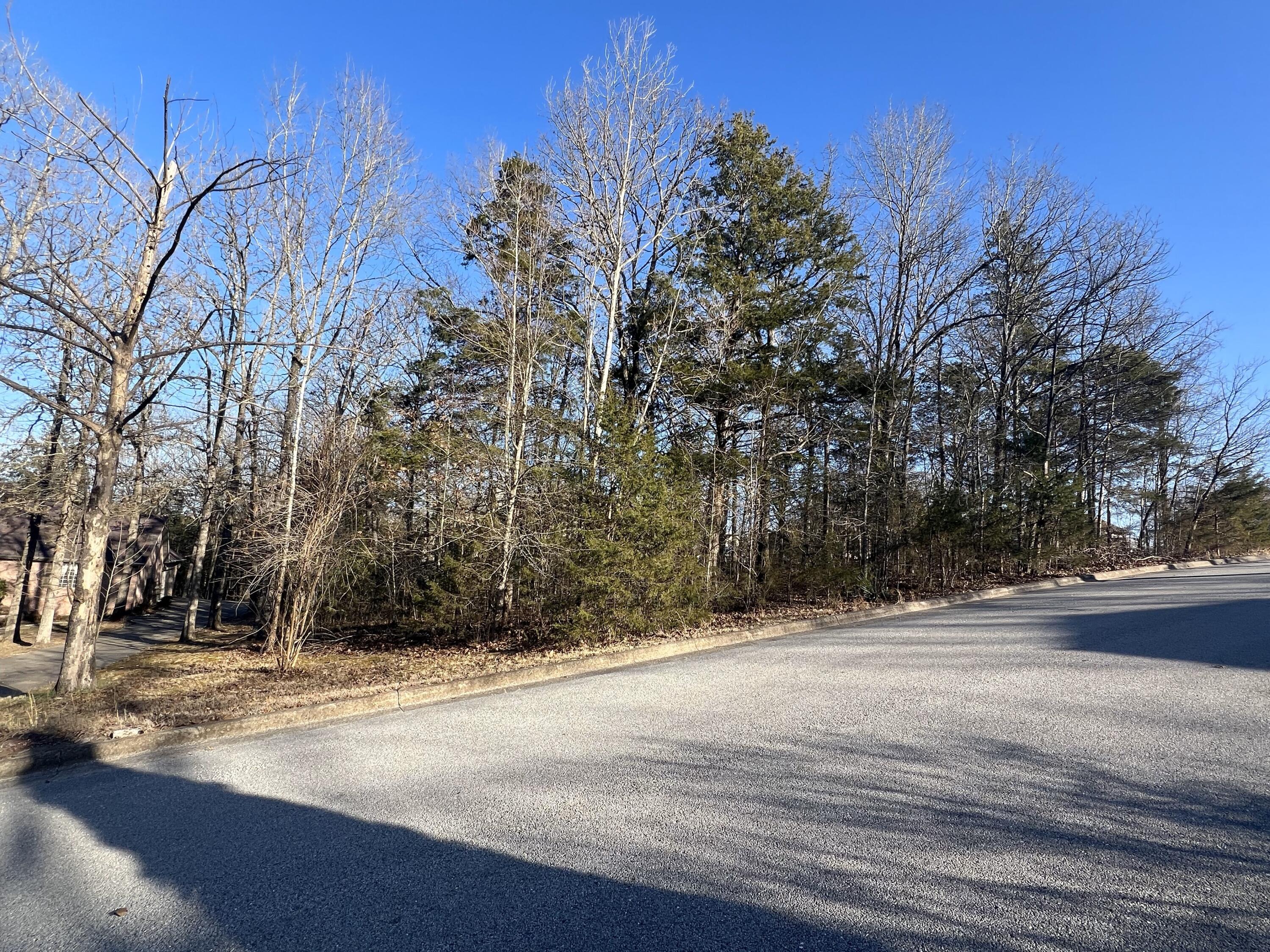 000 Country Bluff Drive Property Photo 3