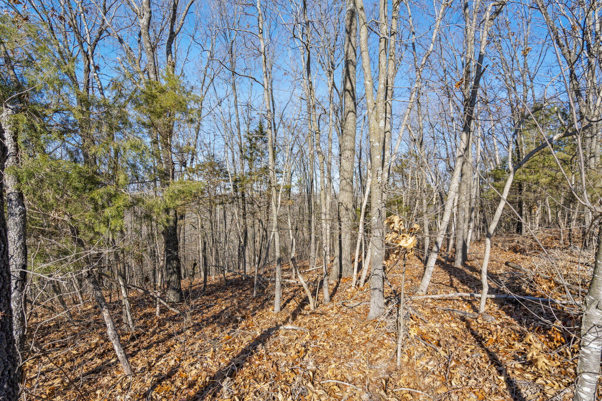 Lot 17 Midview Drive Property Photo 12