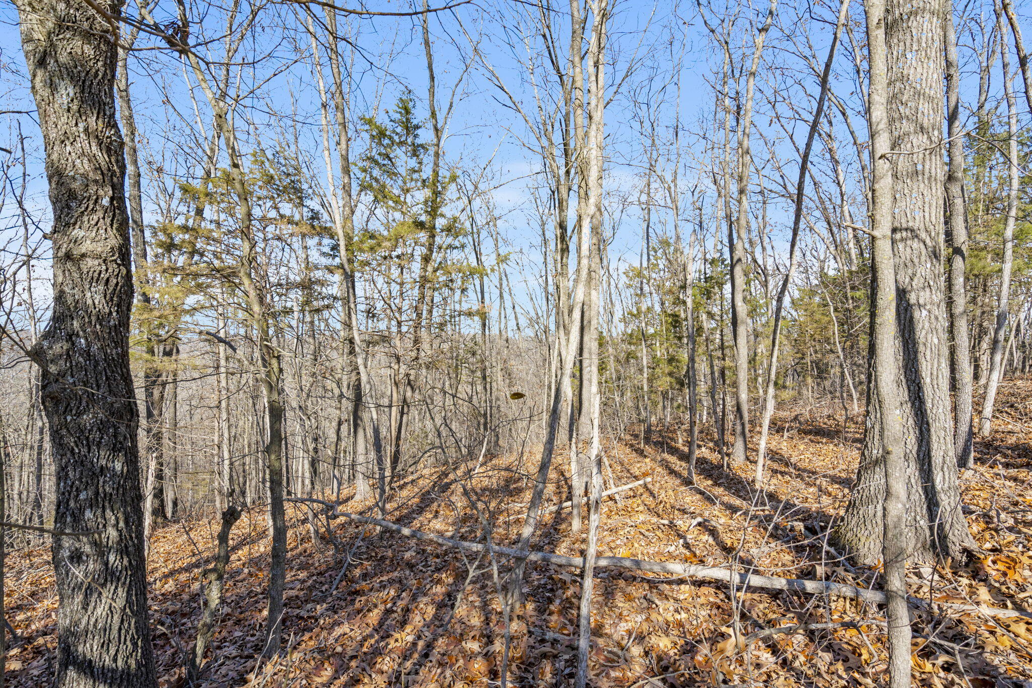 Lot 17 Midview Drive Property Photo 13