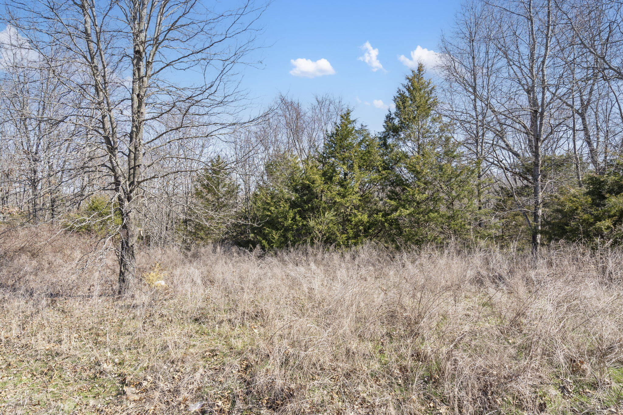 Lot 8 Middlegate Place Property Photo 9