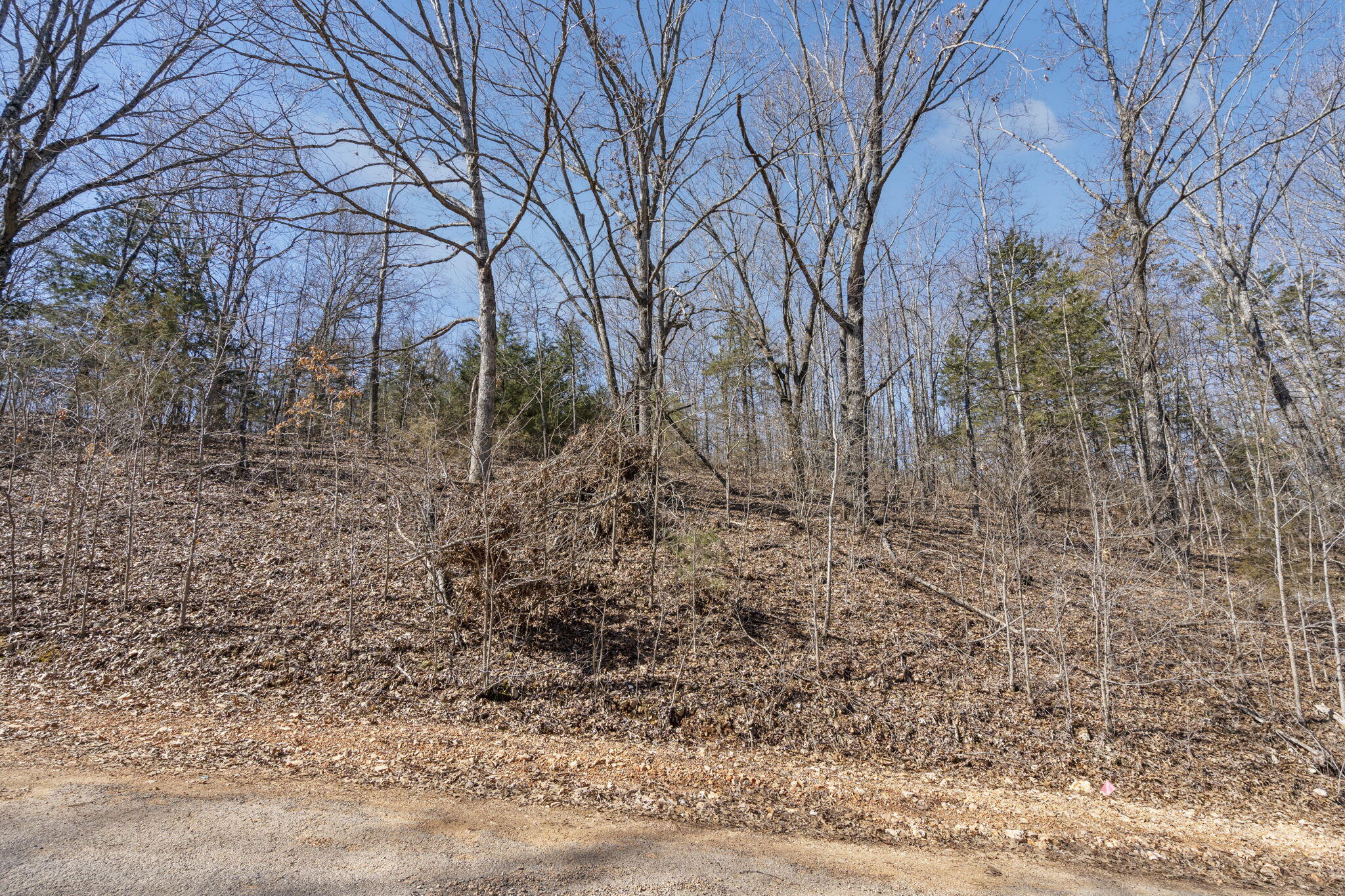 Lot 8 Middlegate Place Property Photo 12