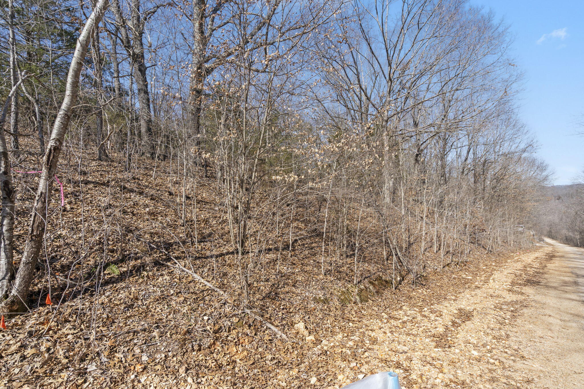 Lot 8 Middlegate Place Property Photo 13