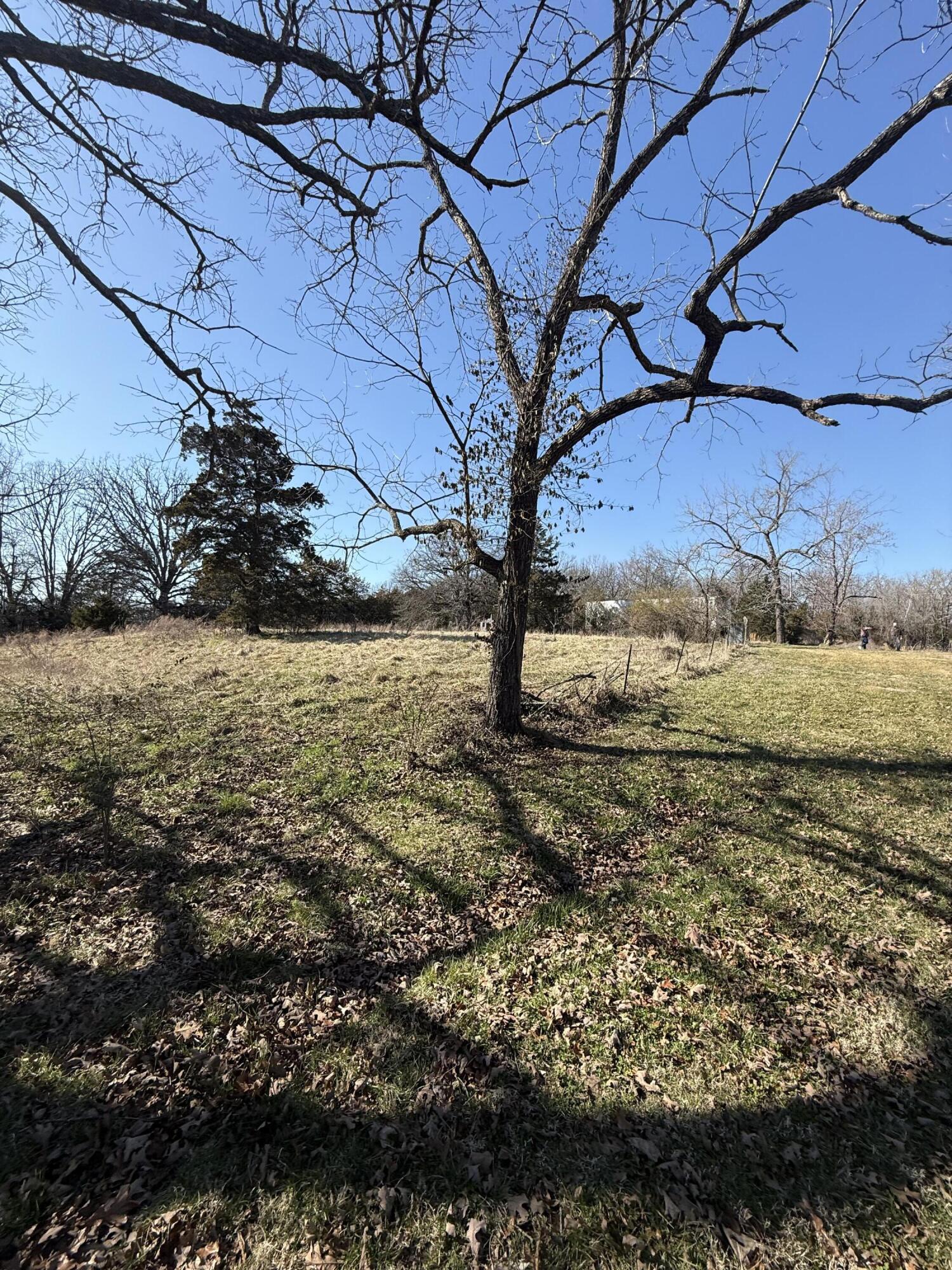 541 County Road 806 Property Photo 18