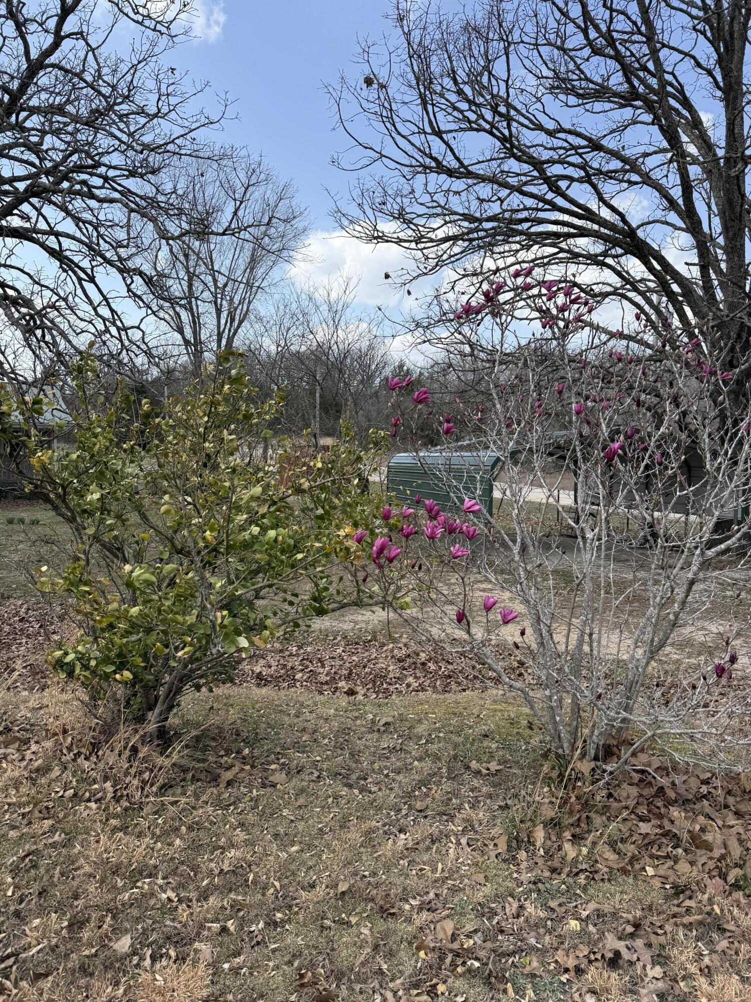541 County Road 806 Property Photo 23