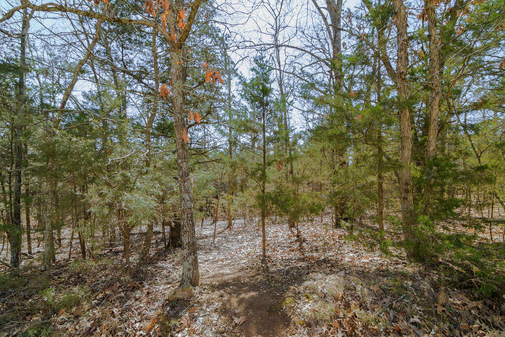 365 Majestic Drive Property Photo 17