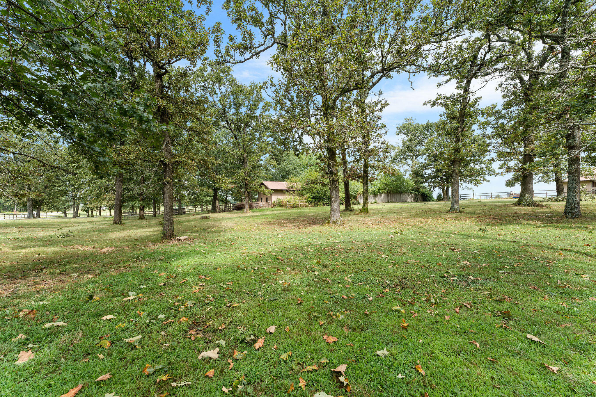 8433 West Veterans Boulevard Property Photo 77
