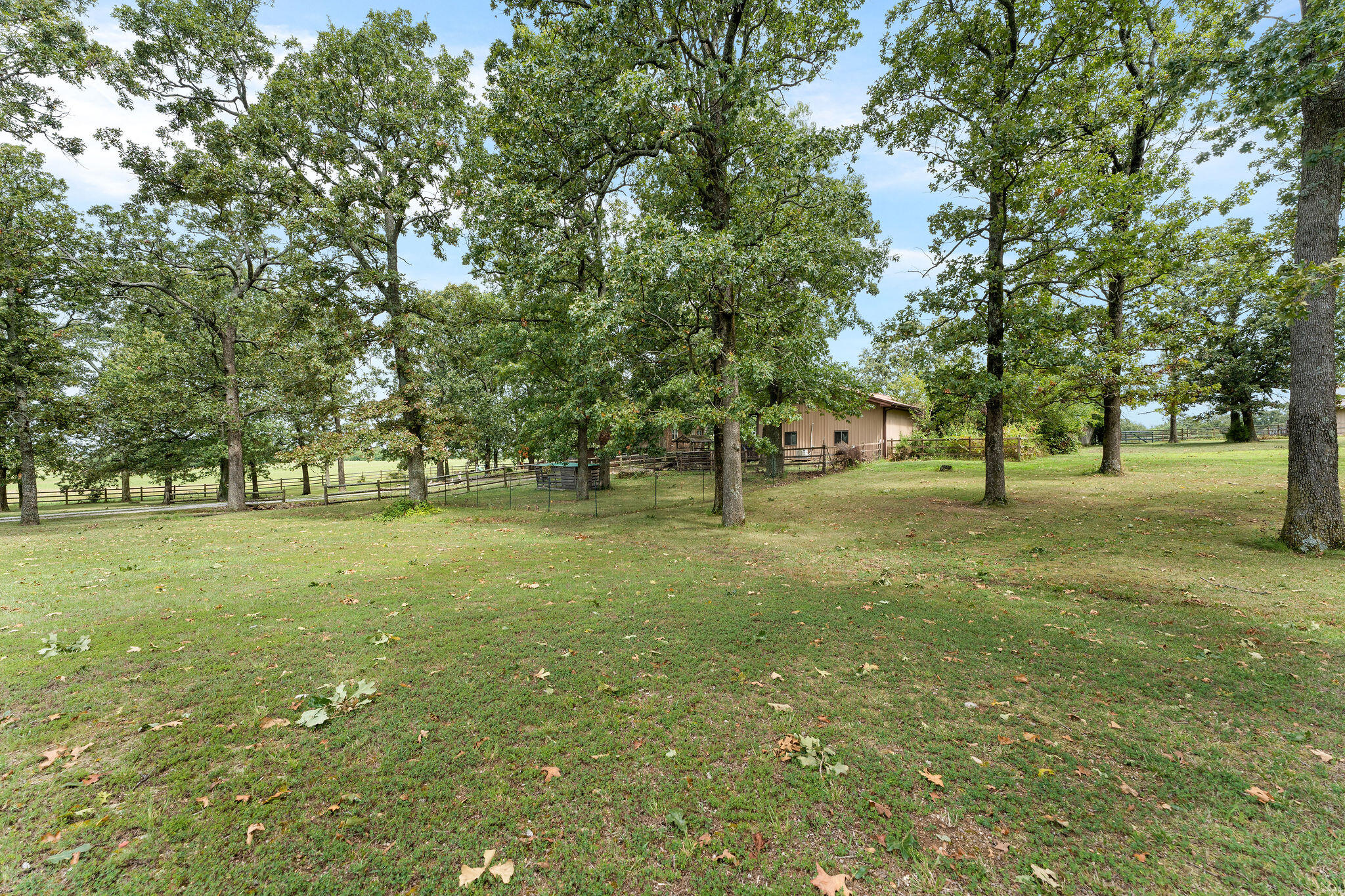 8433 West Veterans Boulevard Property Photo 78