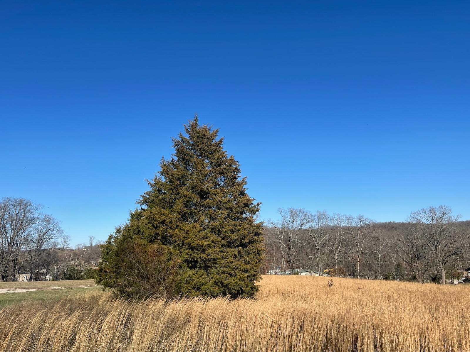Lot 9-b Spring Valley Drive Property Photo 9