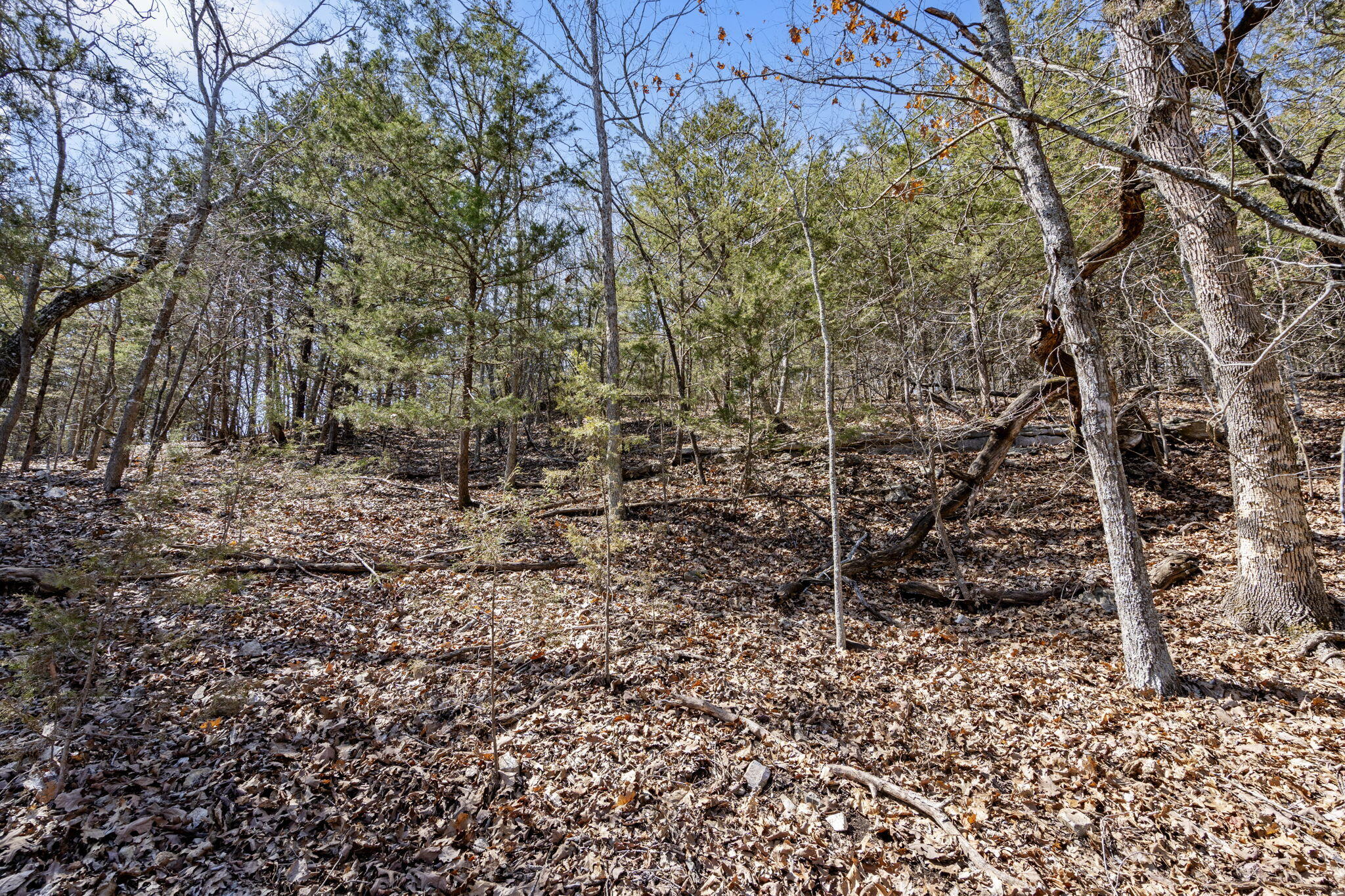 000 Map Lane Property Photo 3