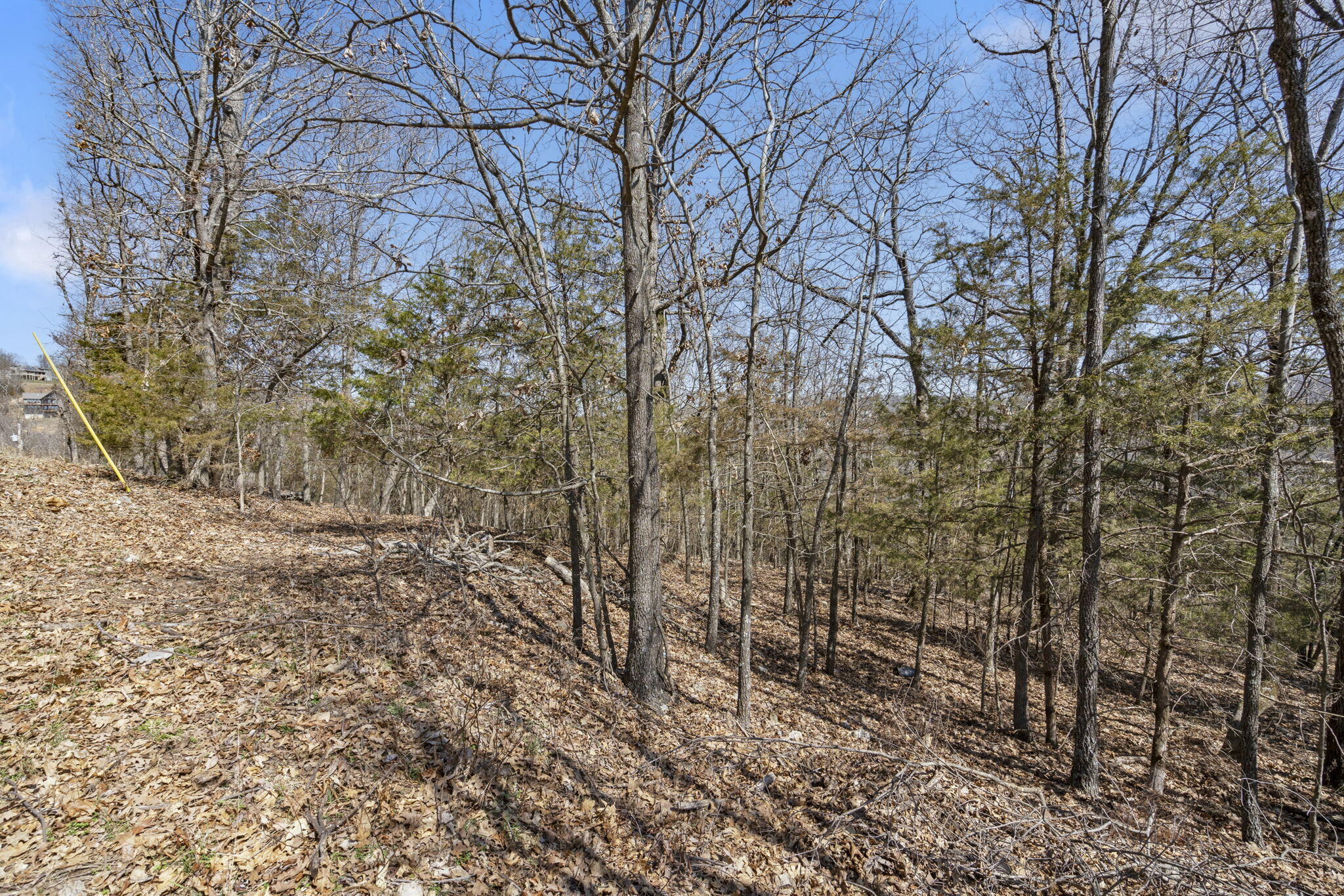 000 Map Lane Property Photo 4
