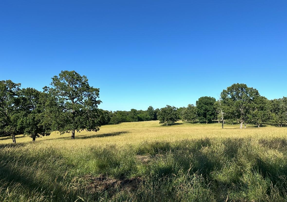 Tbd Chadwick Road Property Photo