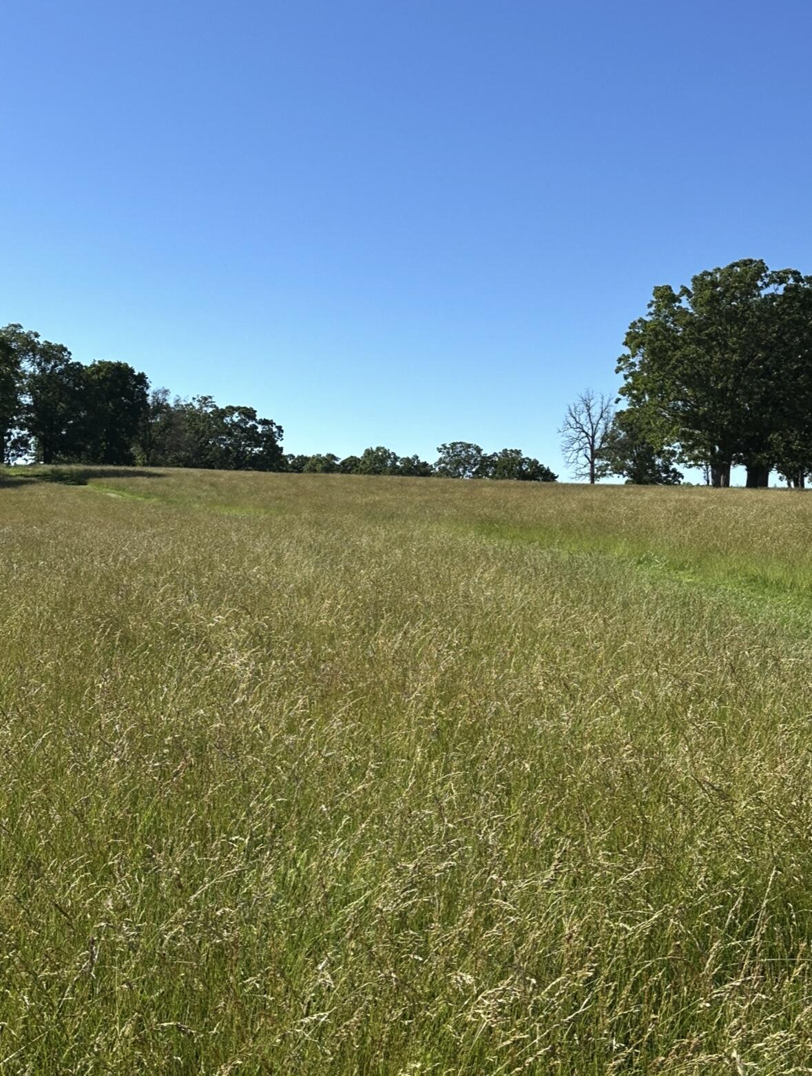 Tbd Chadwick Road Property Photo 10