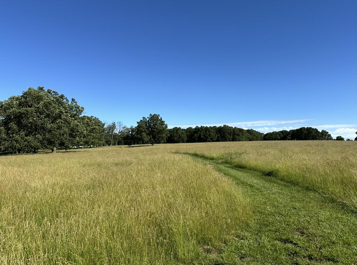 Tbd Chadwick Road Property Photo 11