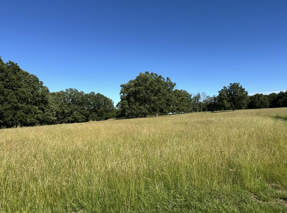 Tbd Chadwick Road Property Photo 12