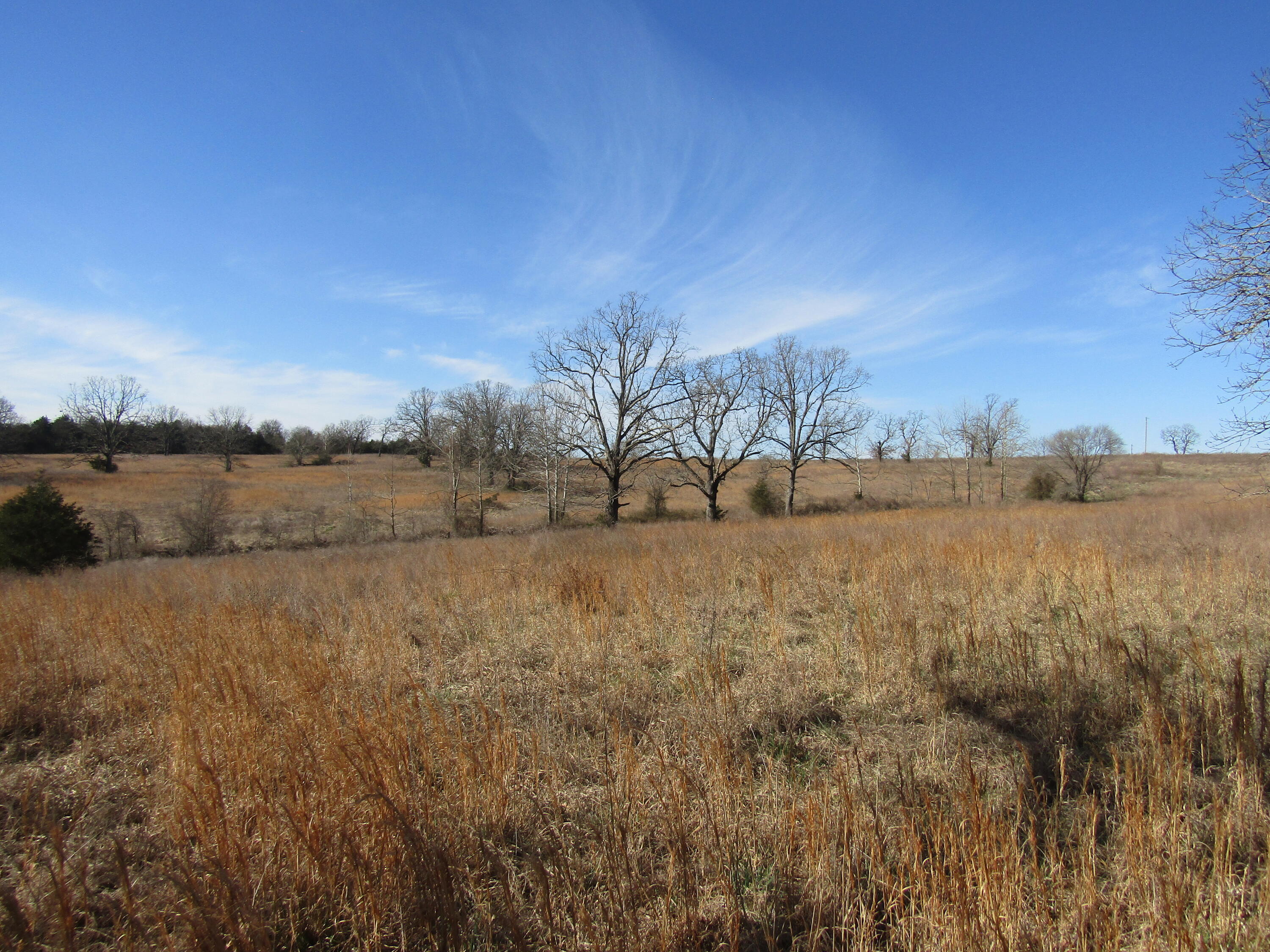000 Highway 95 Property Photo