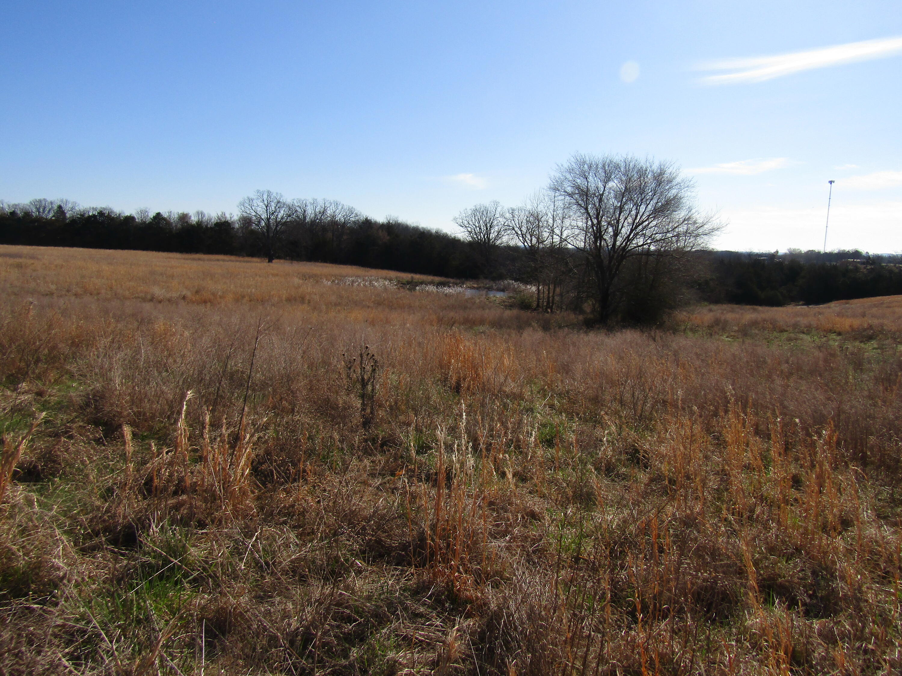 000 Highway 95 Property Photo 3