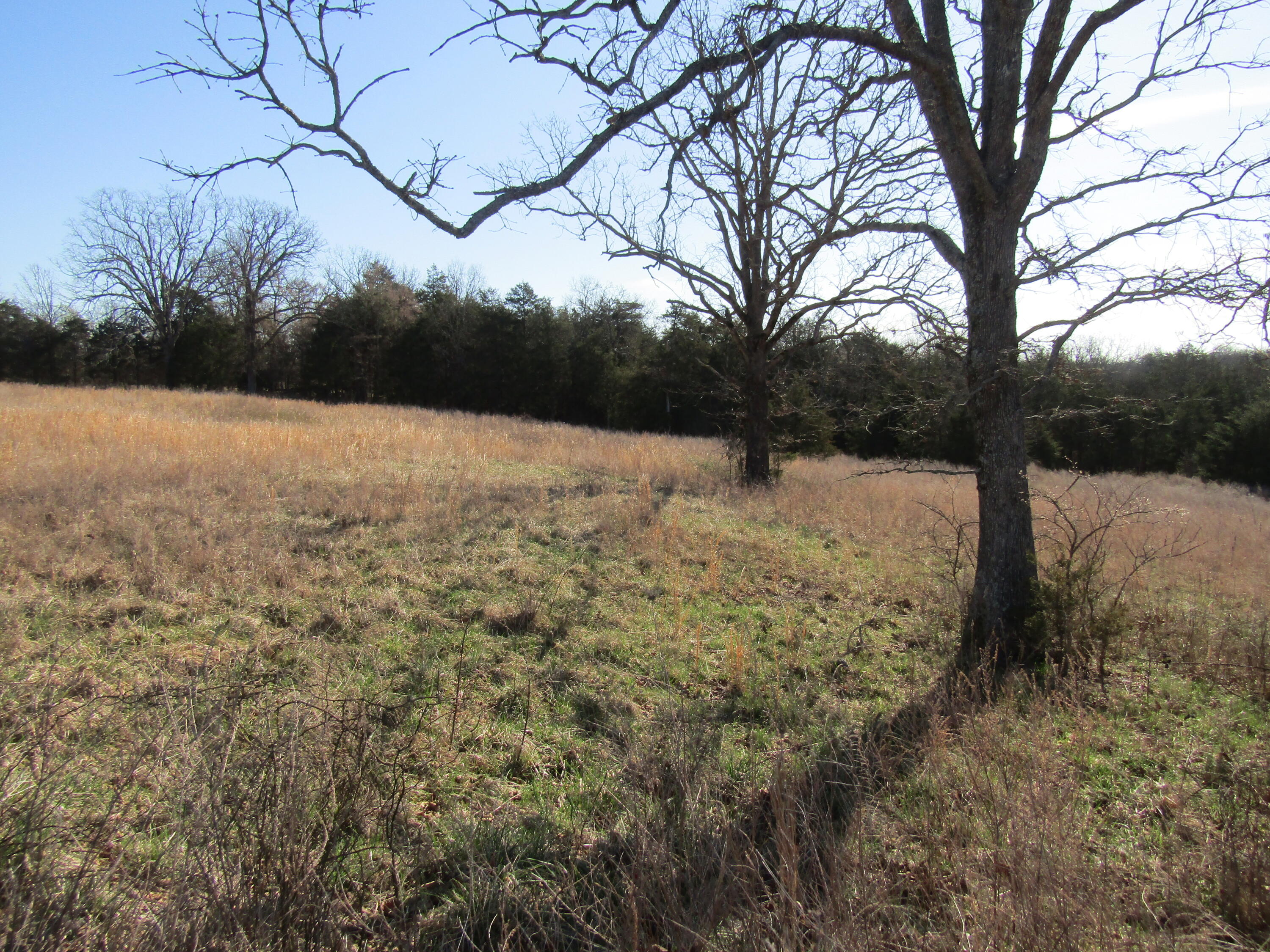 000 Highway 95 Property Photo 5