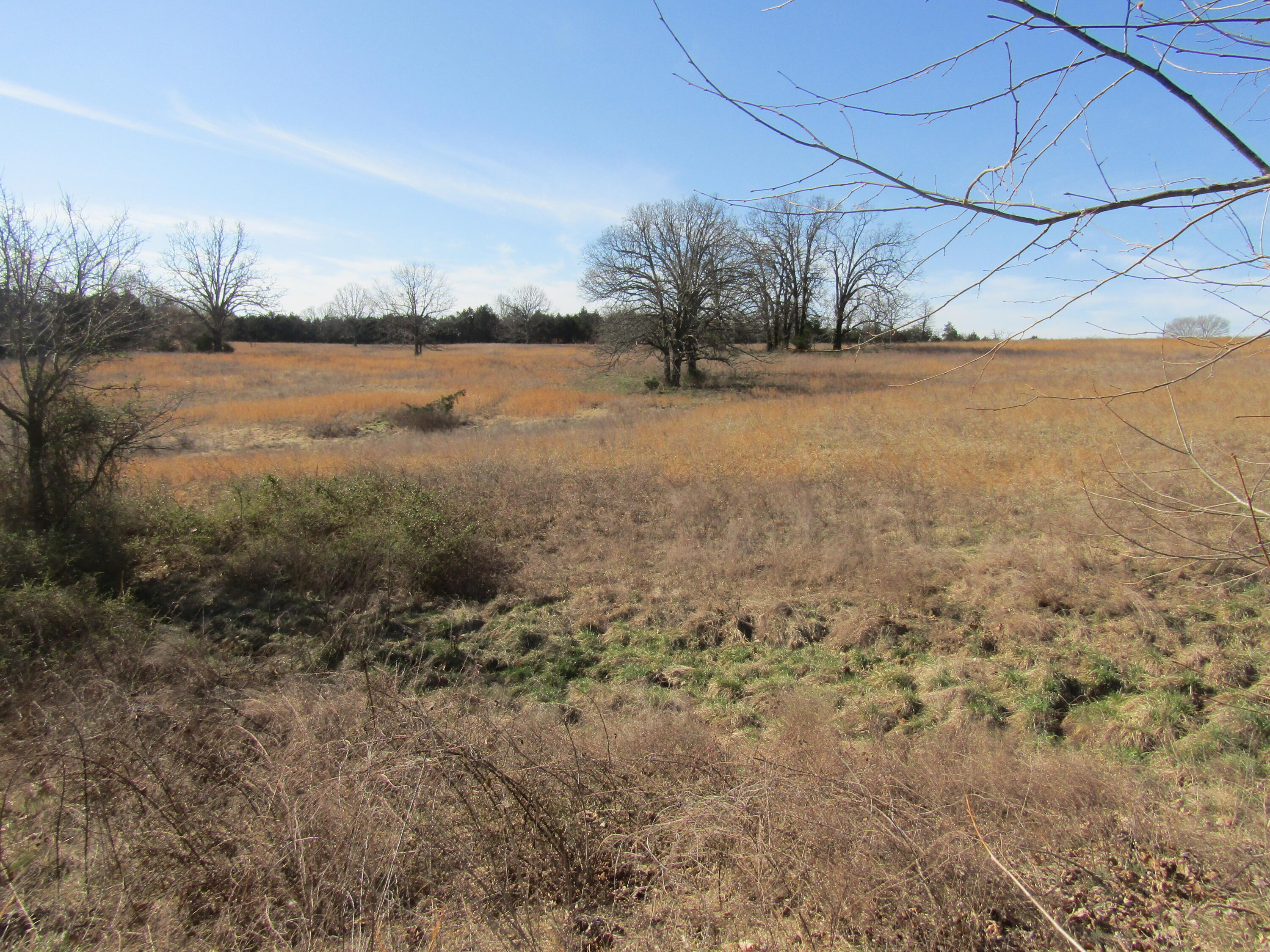 000 Highway 95 Property Photo 6