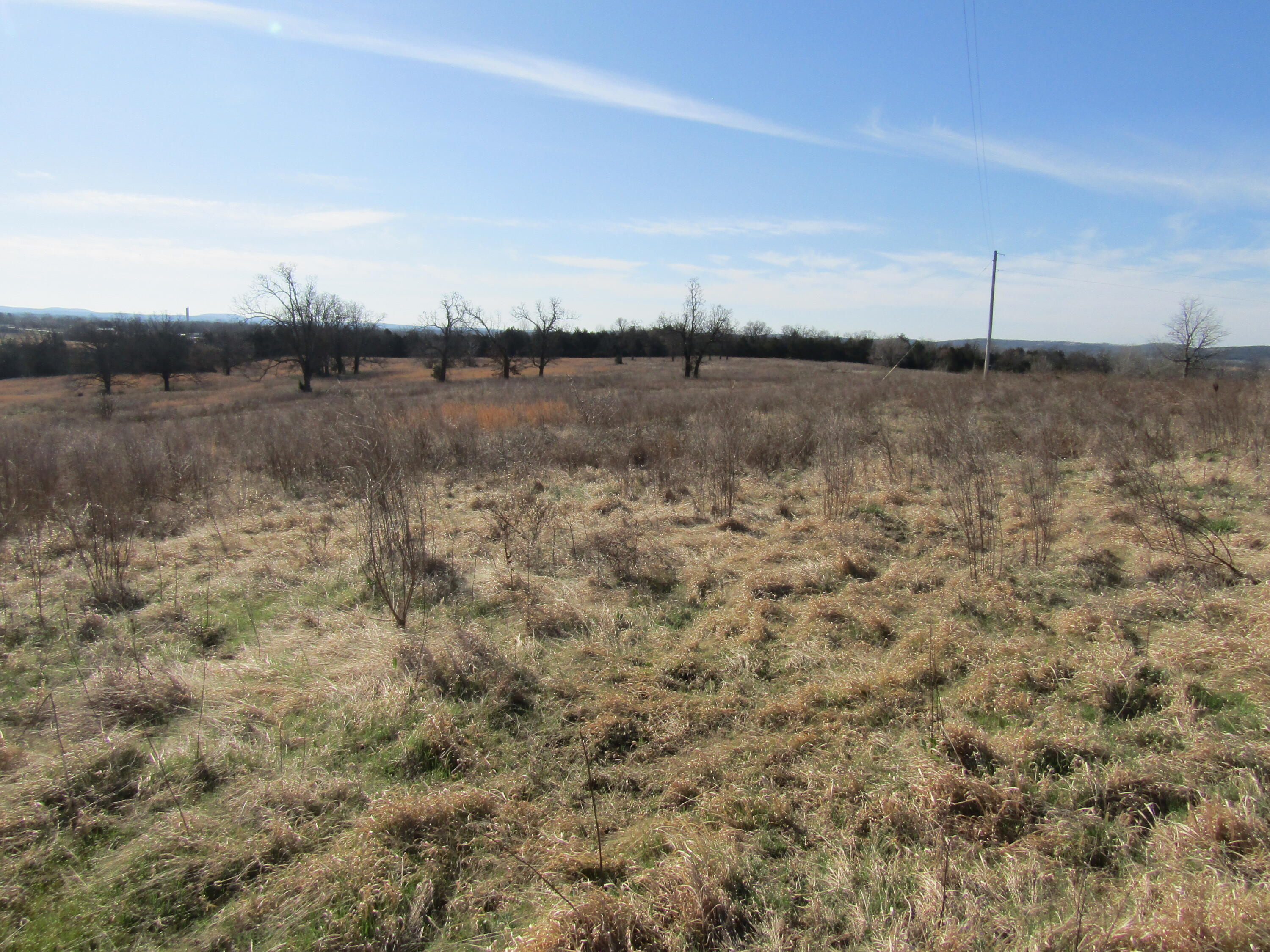 000 Highway 95 Property Photo 12