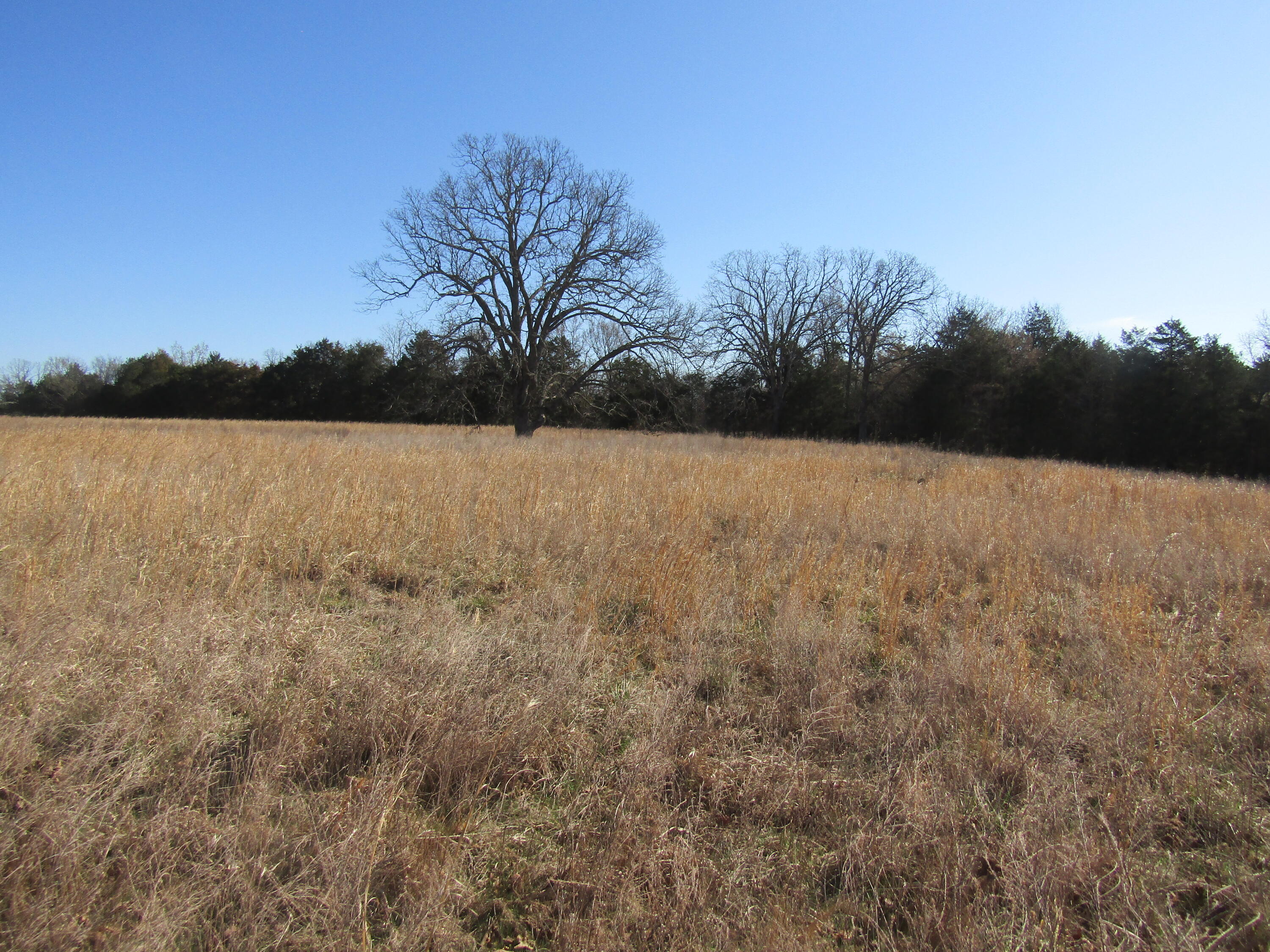 000 Highway 95 Property Photo 13