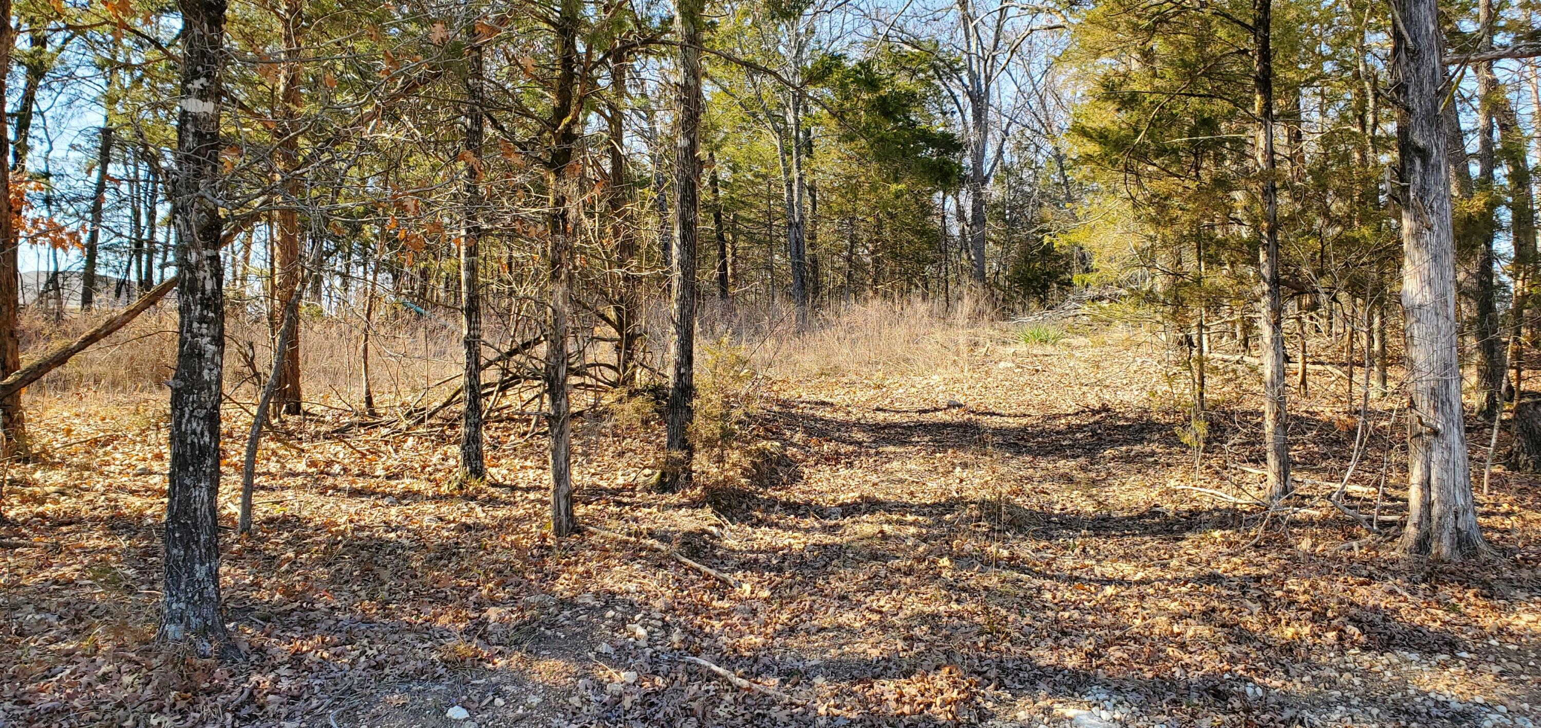 000 Lot 101 Summer Breeze Lane Property Photo 1