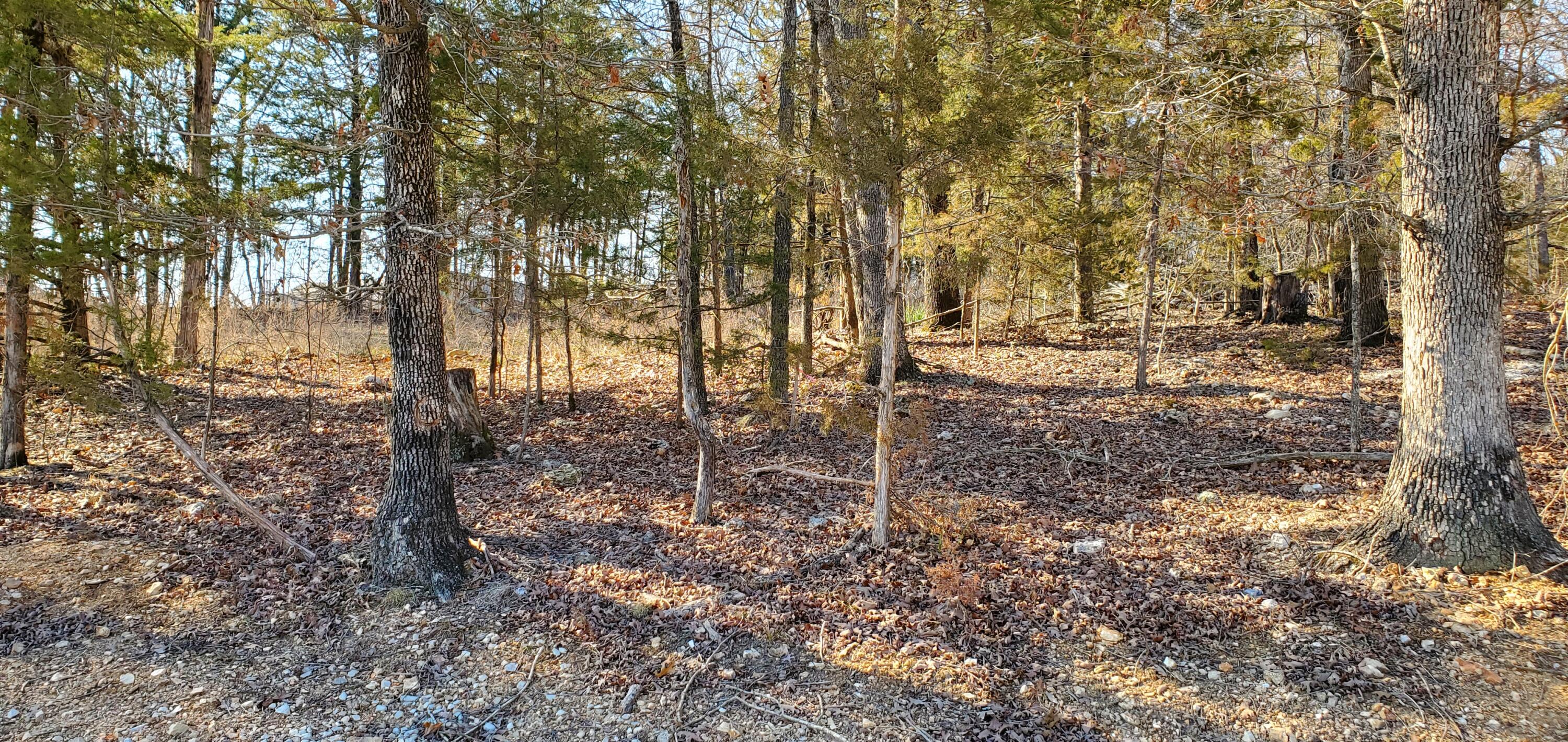 000 Lot 101 Summer Breeze Lane Property Photo 2