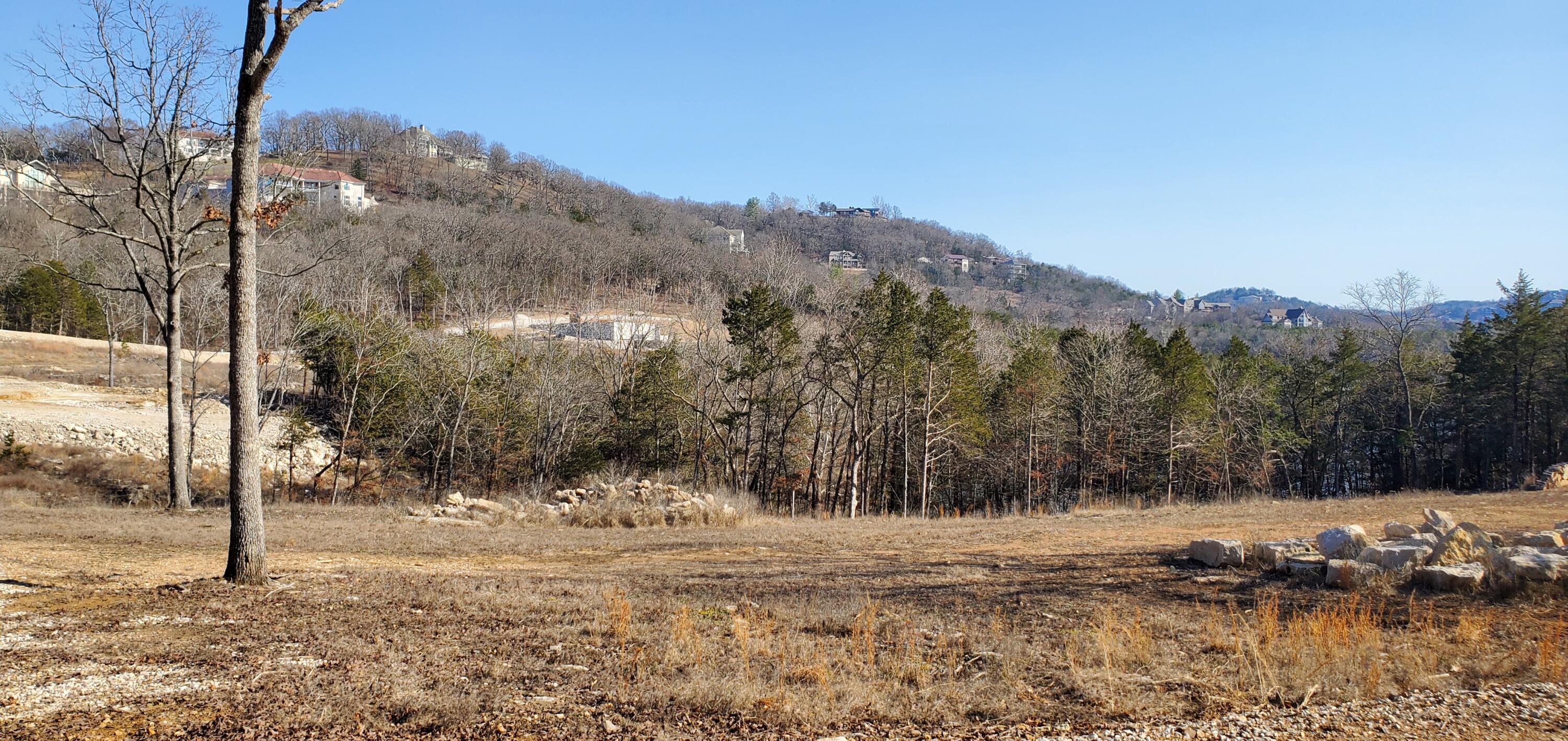 000 Lot 101 Summer Breeze Lane Property Photo 3