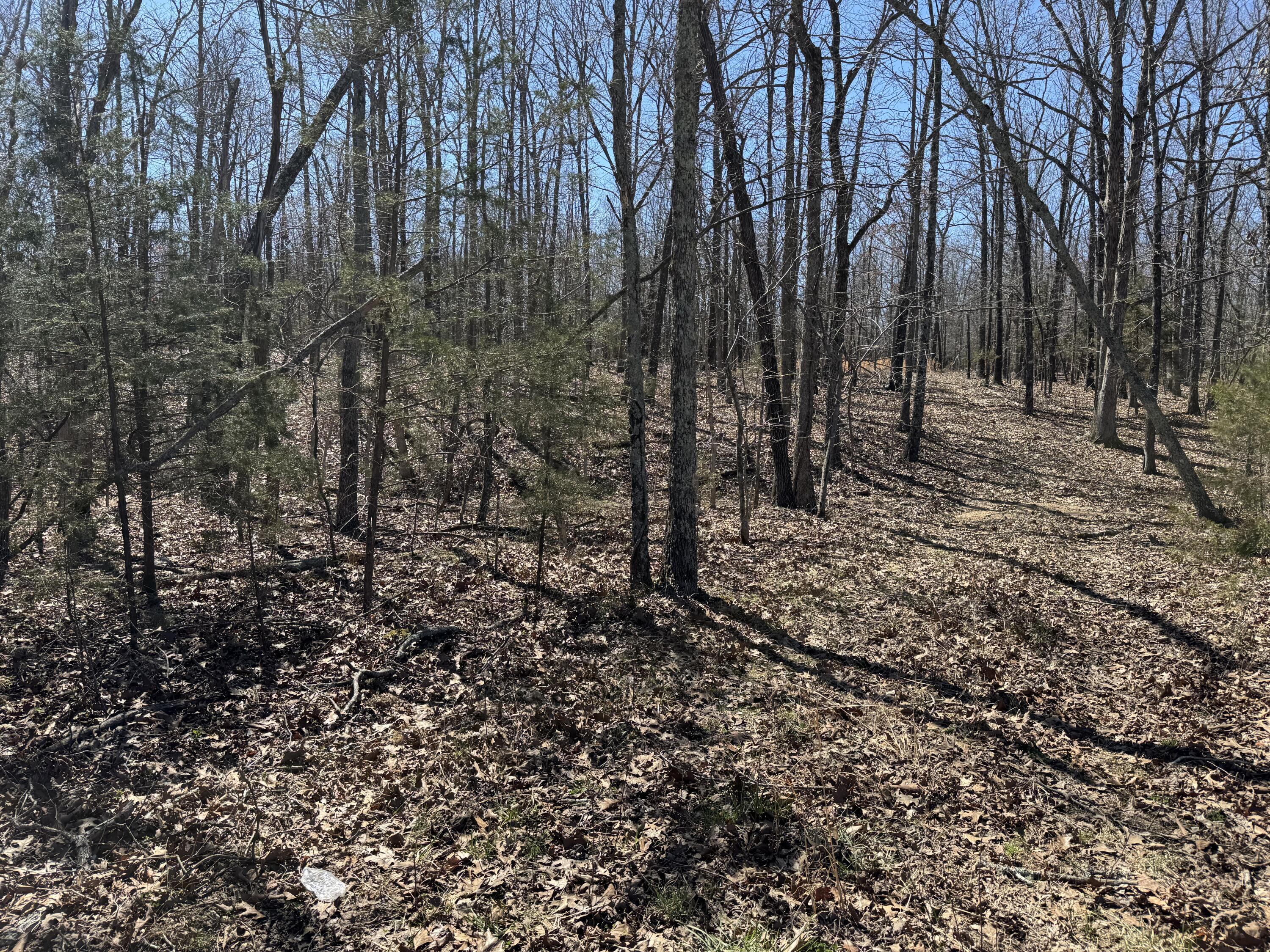 000 County Road 7400 Property Photo 2