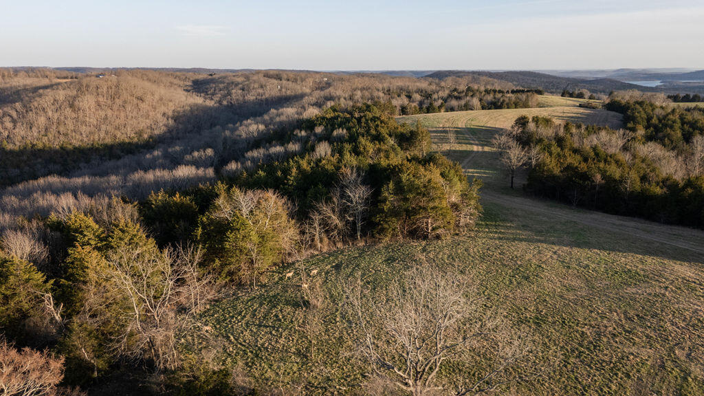 1025 Bounty Drive Property Photo 43