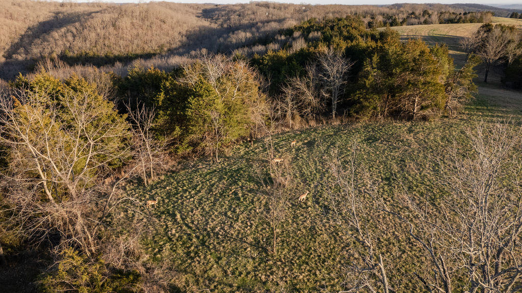 1025 Bounty Drive Property Photo 44