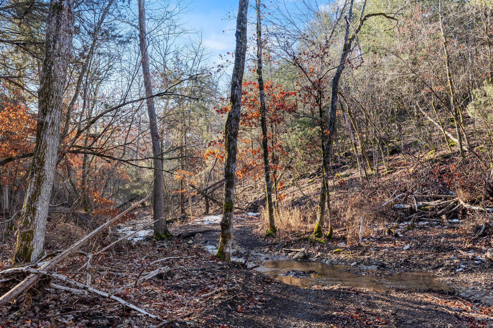 1025 Bounty Drive Property Photo 81