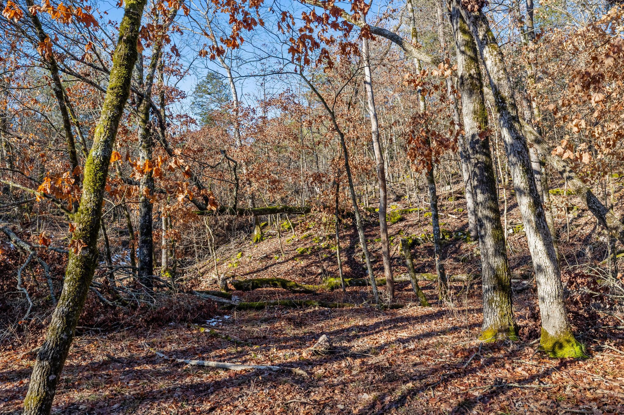1025 Bounty Drive Property Photo 84