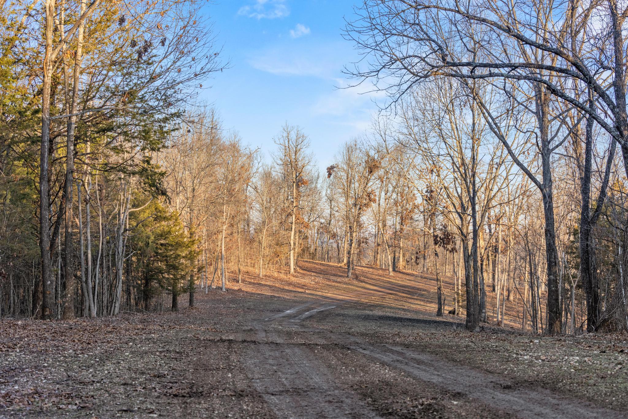 1025 Bounty Drive Property Photo 88
